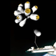 Illustration for article titled Galactic Suite Space Hotel To Open in 2012, Zero-G Toilets Still a Challenge